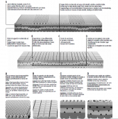 Matelas Giove Bonaldo